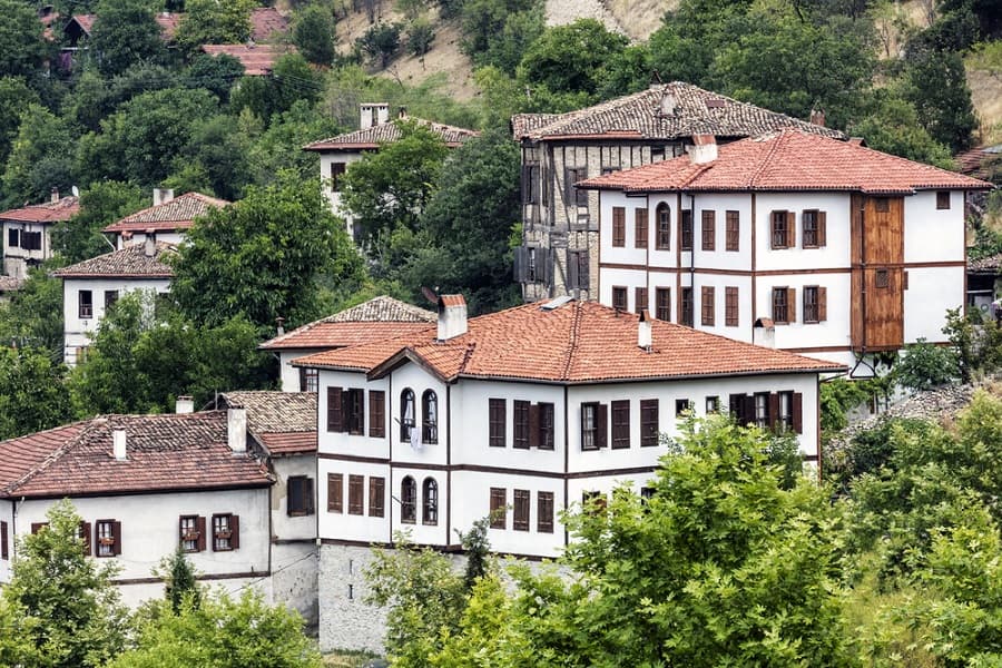 Petobriga