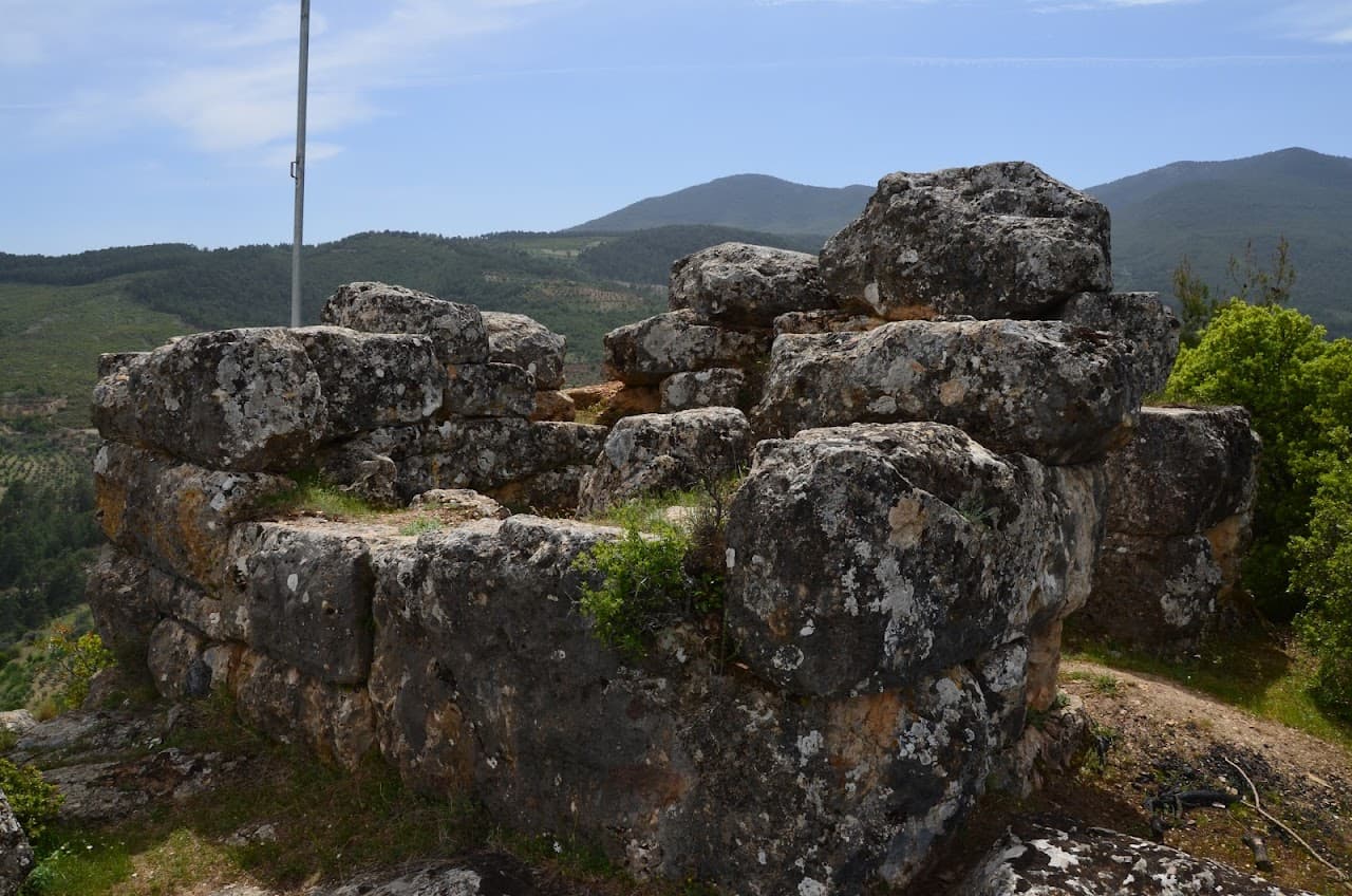 Xystis