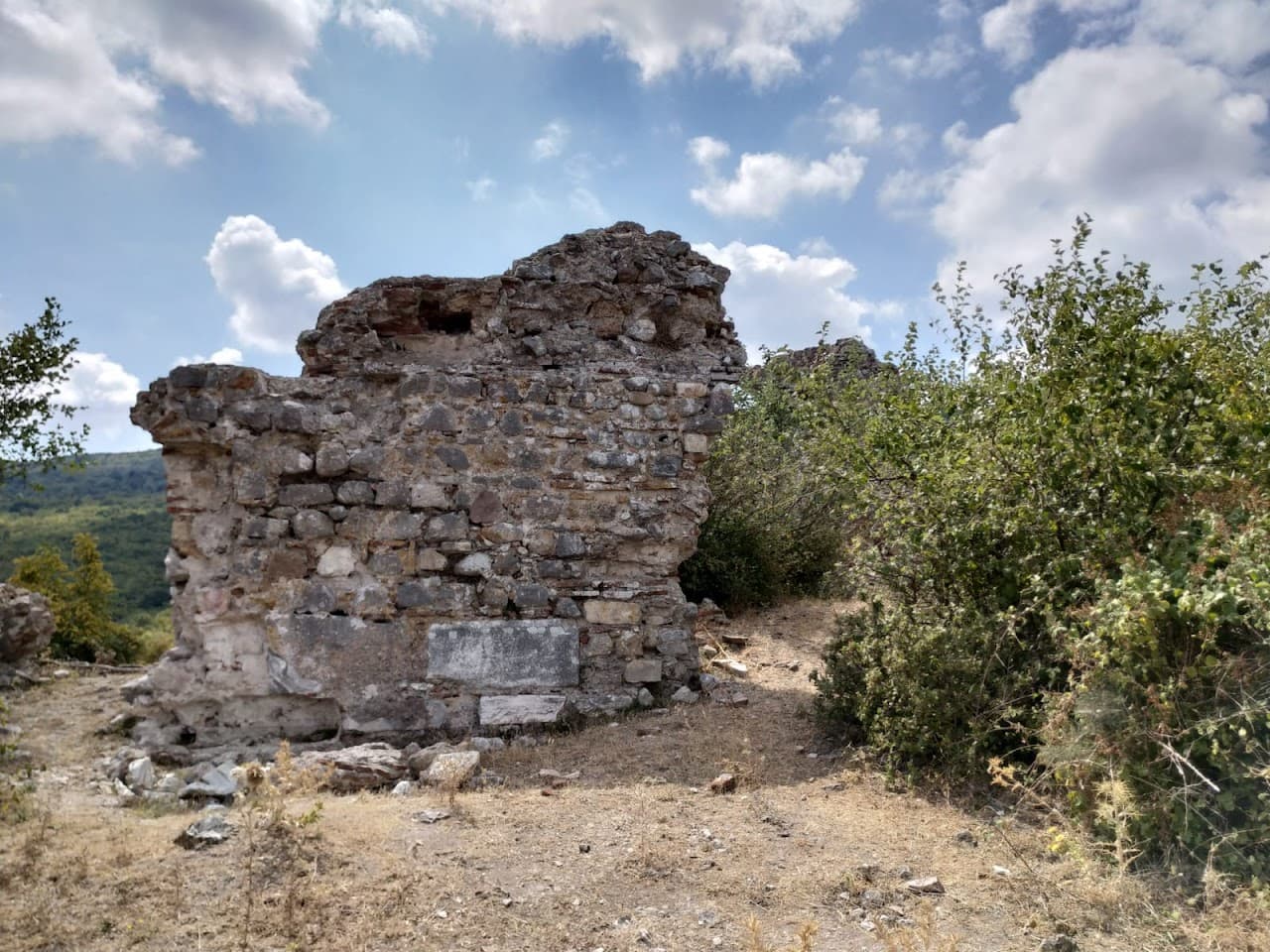 Poimanenon