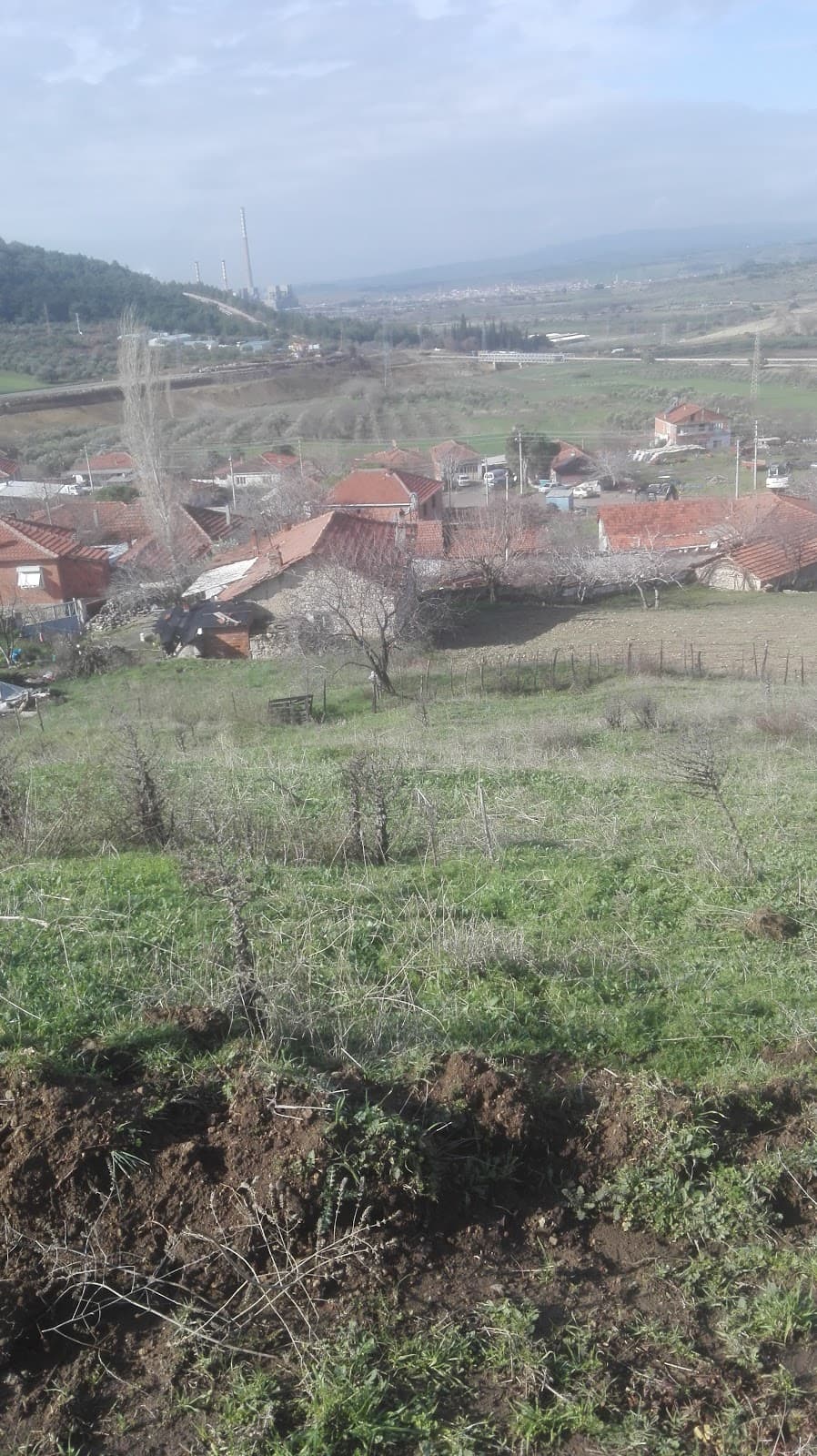 Sandaina