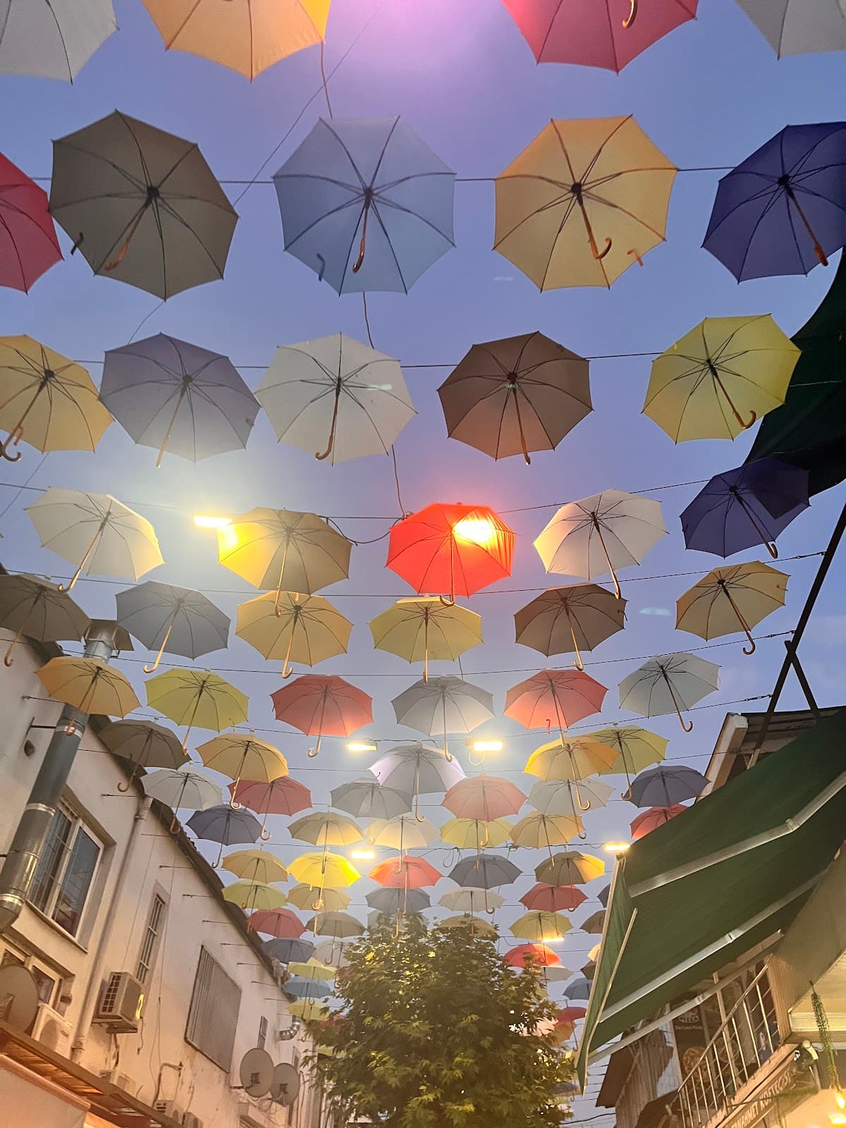 Umbrella street