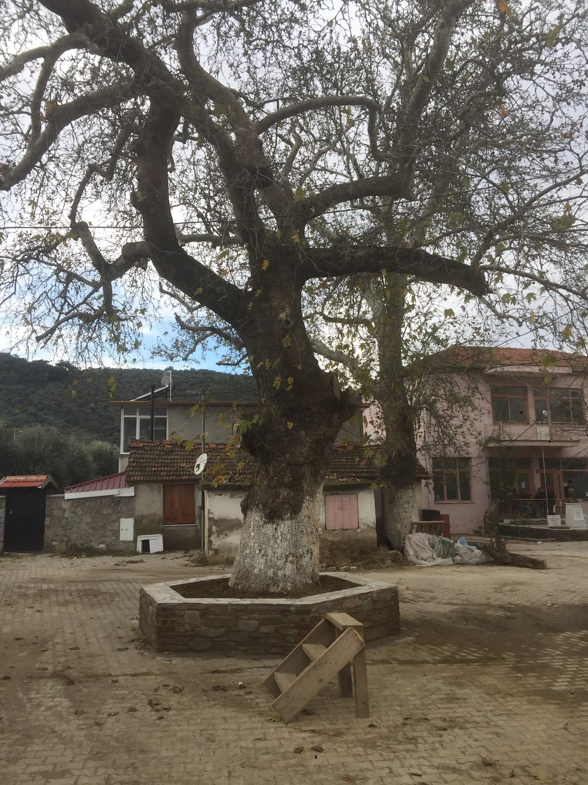 Halkapınar