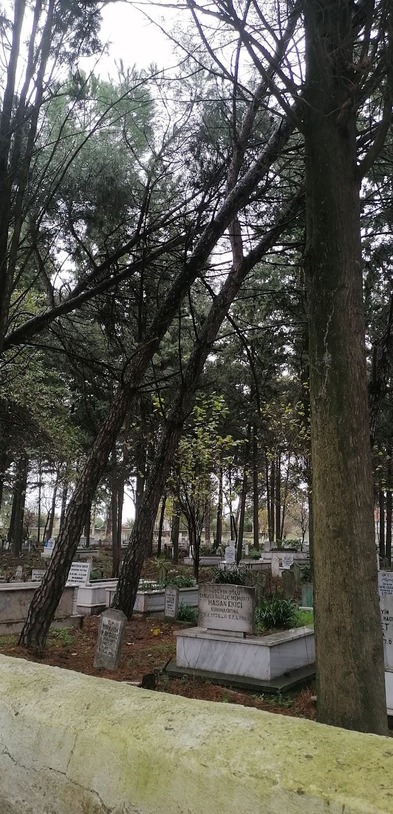 Ovaköy Üyücek