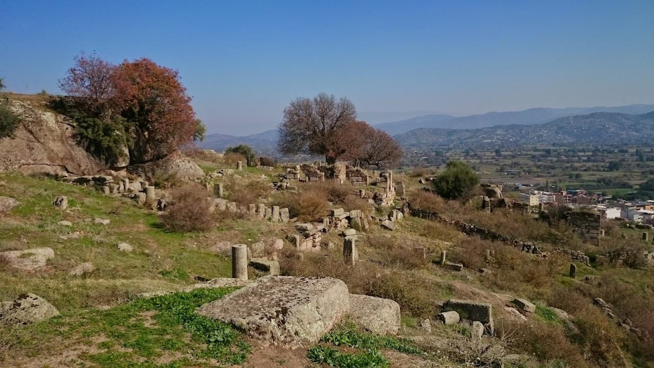 Dallık Nekropolü