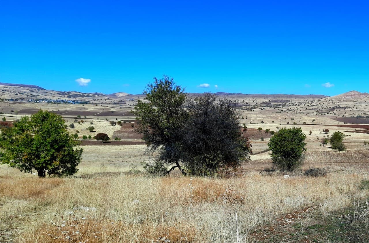 Tozkoparan Höyük, Pertek