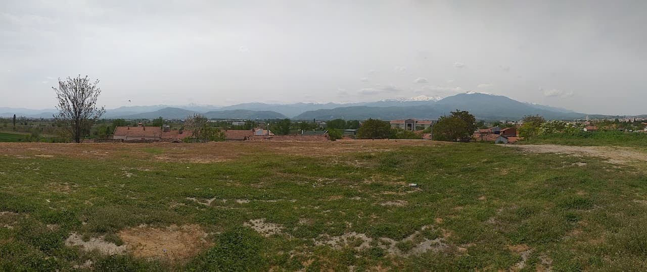 Palangatepe Höyük