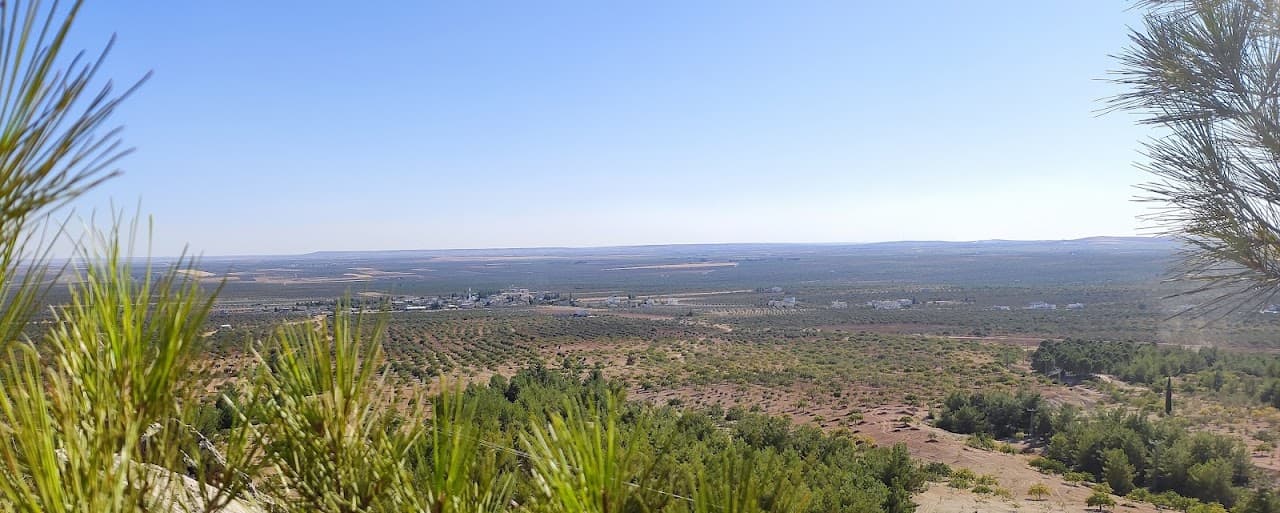 Gökçeli Höyük