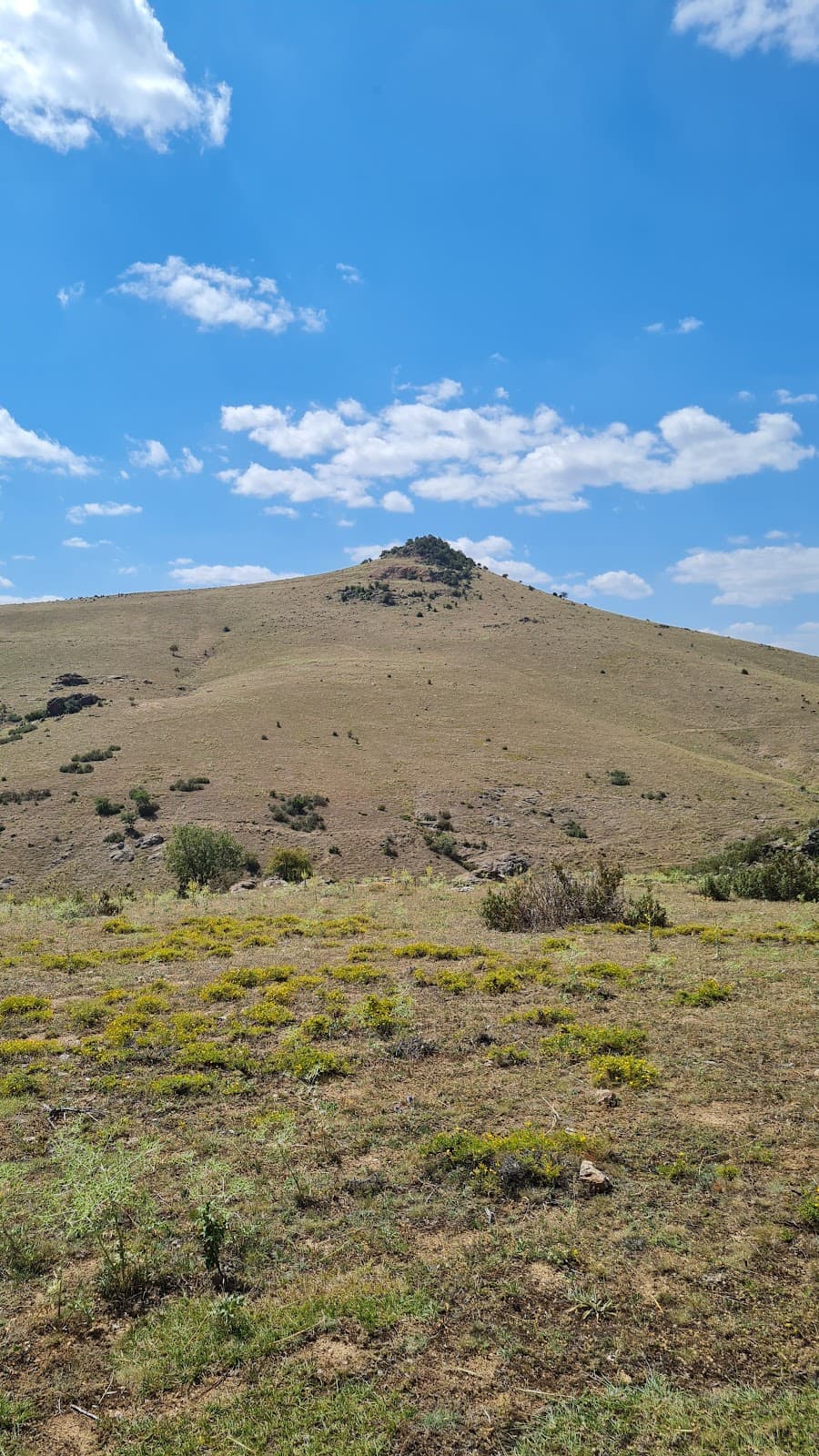 Bozhöyük, İhsaniye