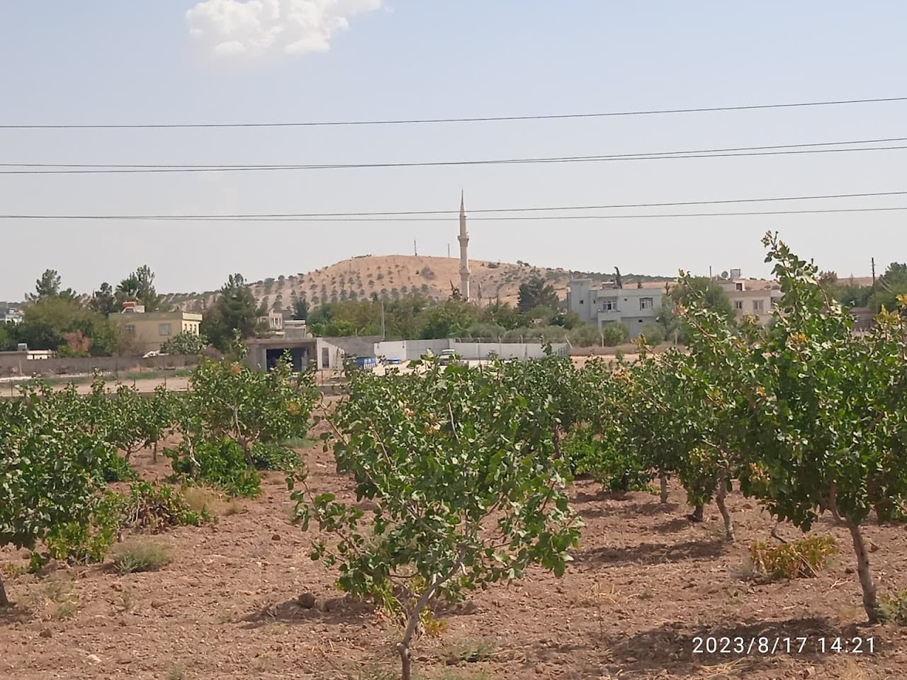 Arıkdere Höyüğü