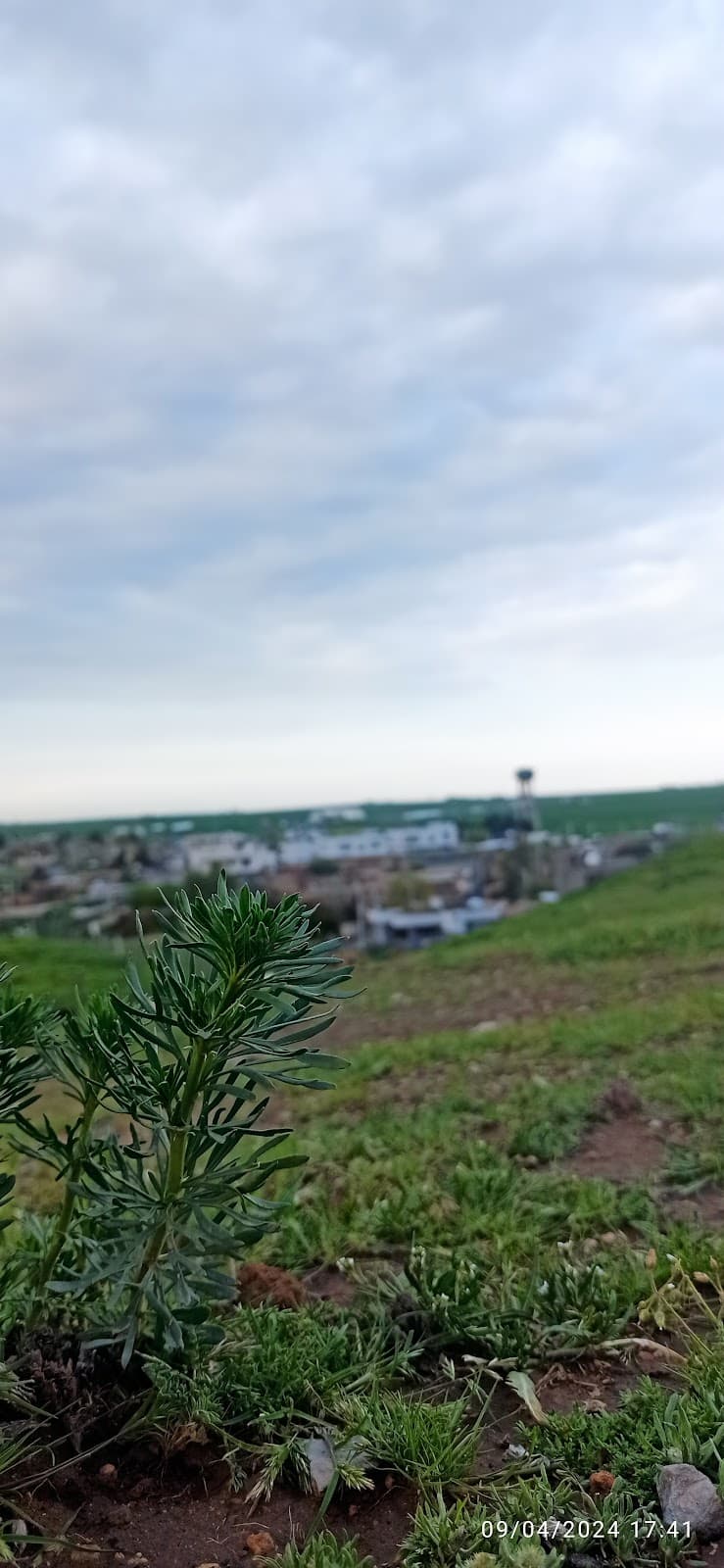 Büyükboğaziye Höyüğü