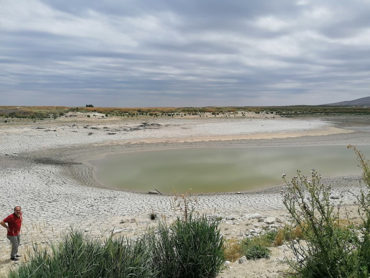 Adakasım Höyüğü