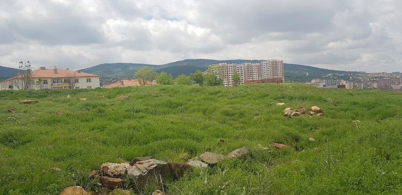 Mercimektepe Höyüğü
