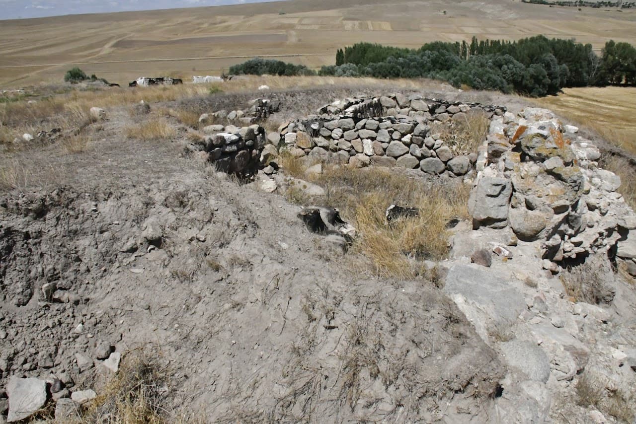 Çadır Höyük