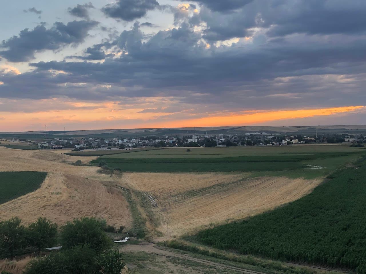 Ziyaret Tepe Höyüğü