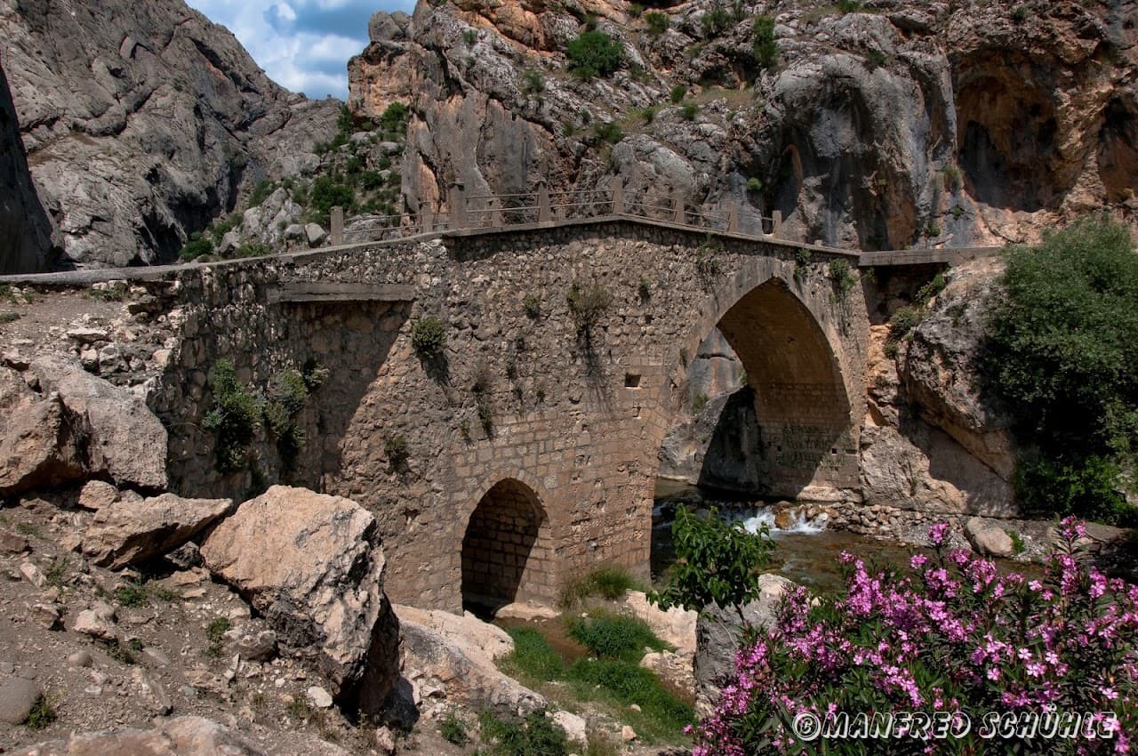 Seljuk Bridge