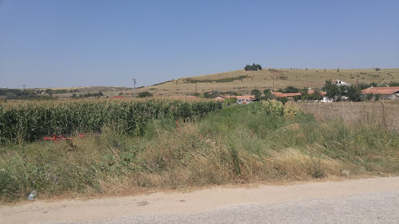 Kuzuçardağı Tümülüsü