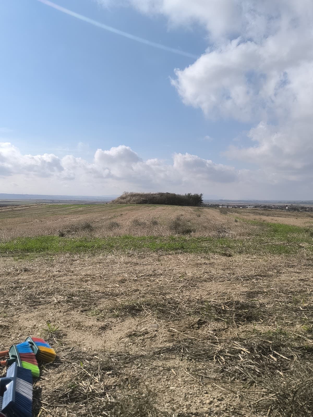 Üğcektepe Tümülüsü