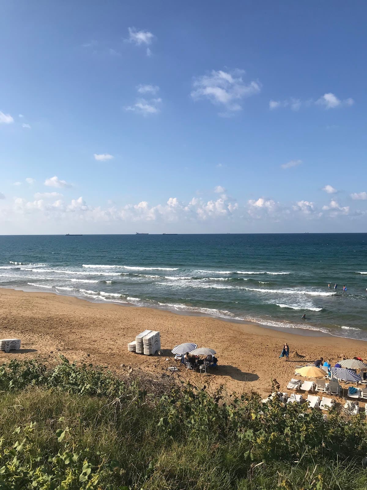Bamboo Beach