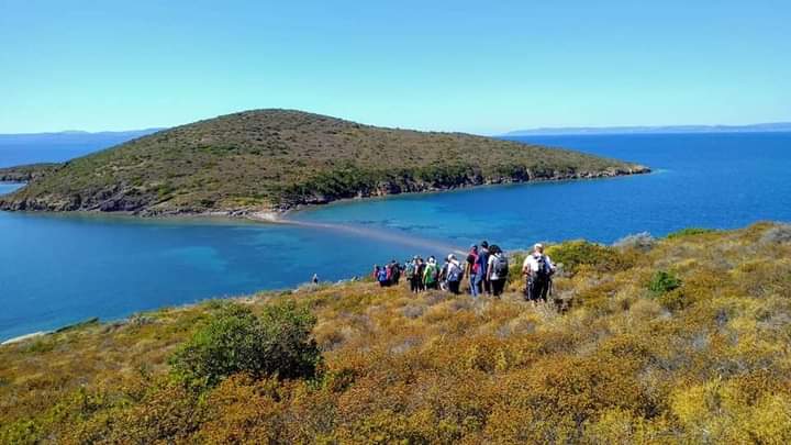 Kule, Maden Adası