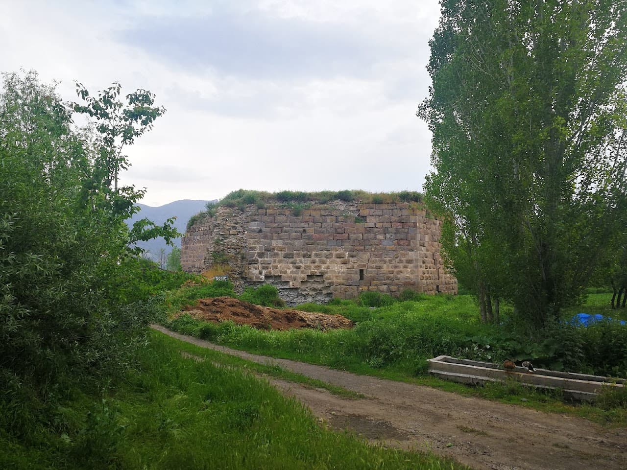 Erzincan Kalesi