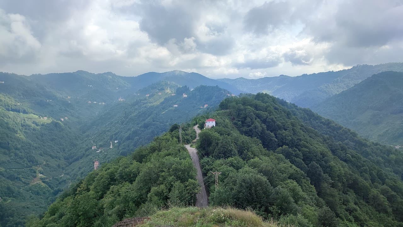 Kalegüney Kalesi