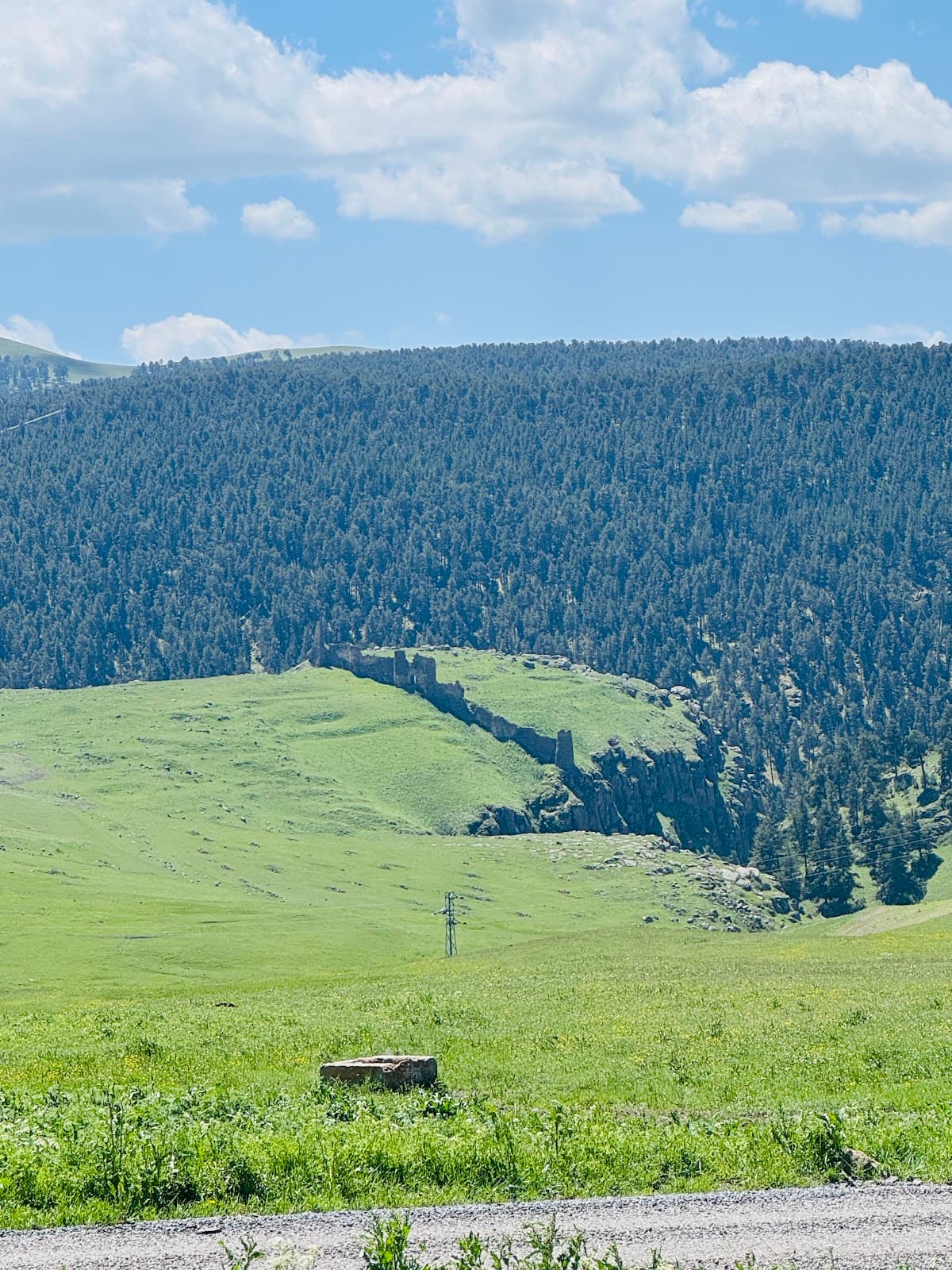 Kalecik Kalesi, Ardahan