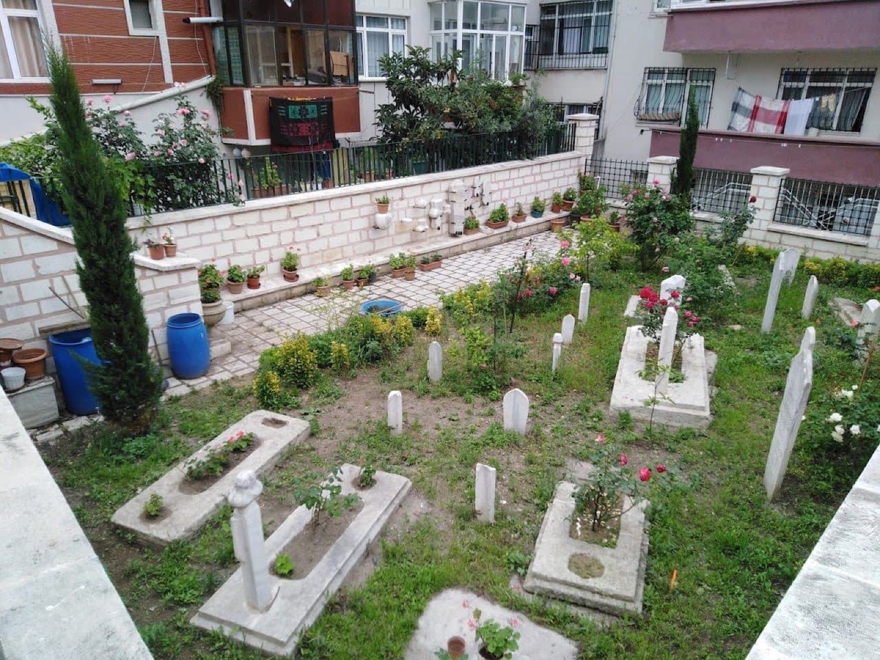 Azeb Baba Kabri