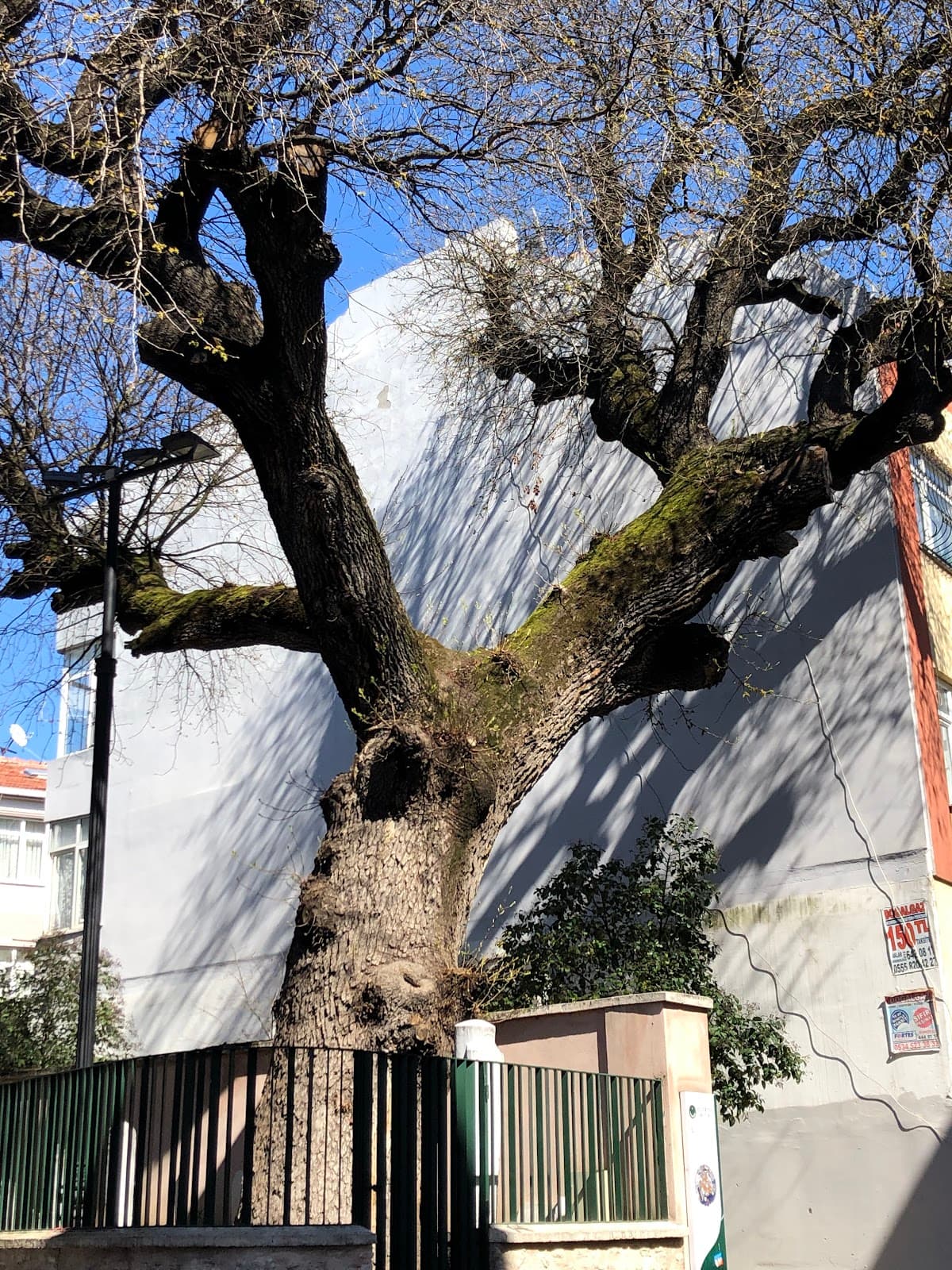Yedi Şehitler Kabristanı, Silivrikapı