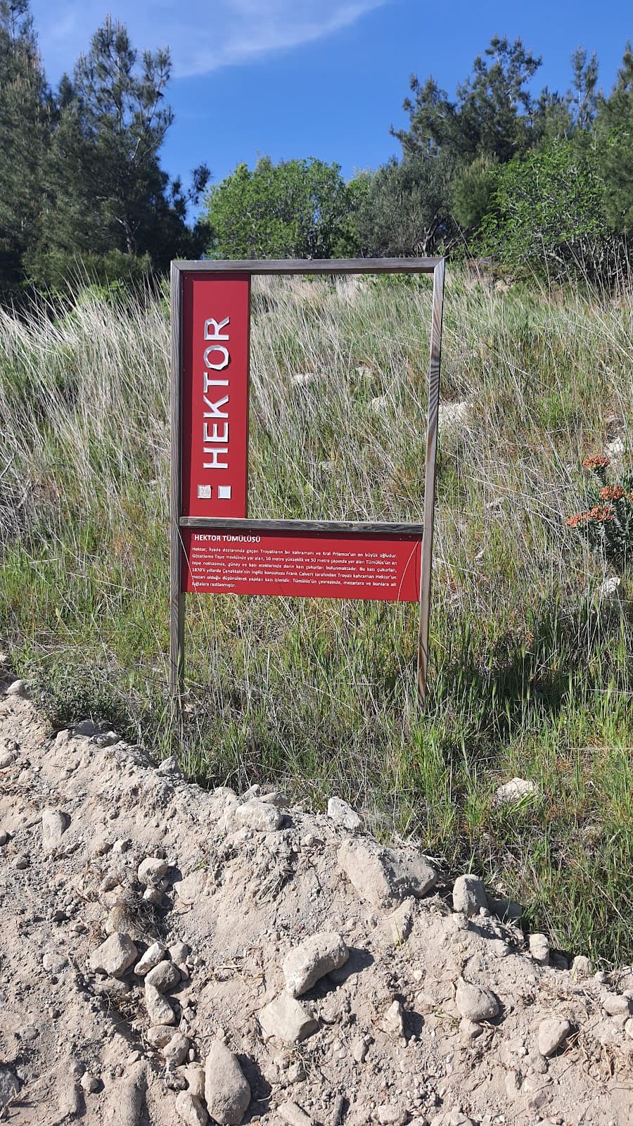 Hektor Tümülüsü