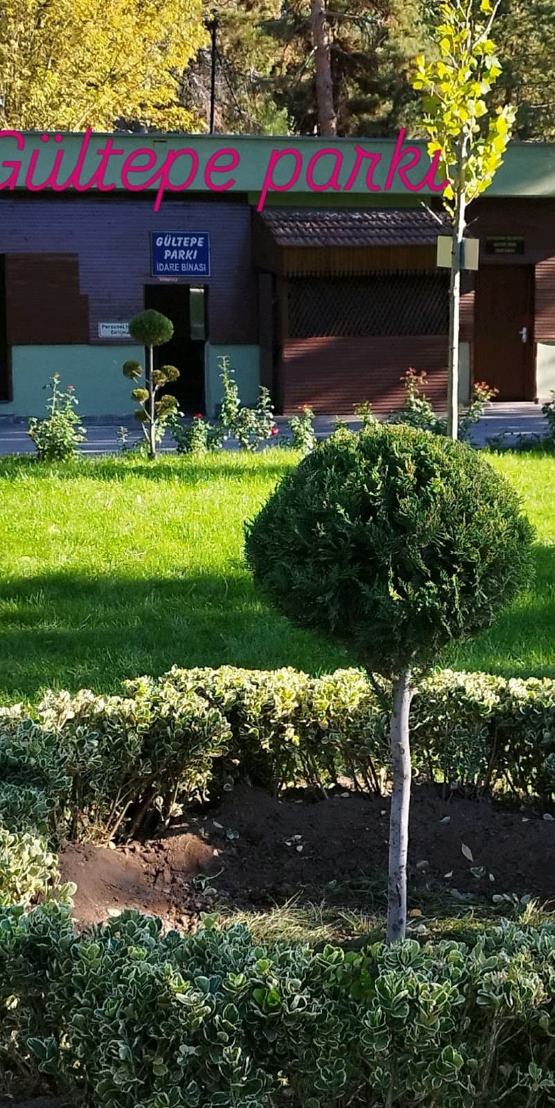Gültepe Tümülüsü