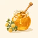 Ağrı Geven Balı illustration