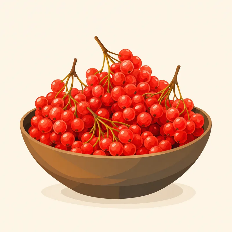Akkışla Gilaburusu illustration