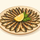 Karadeniz Hamsi illustration