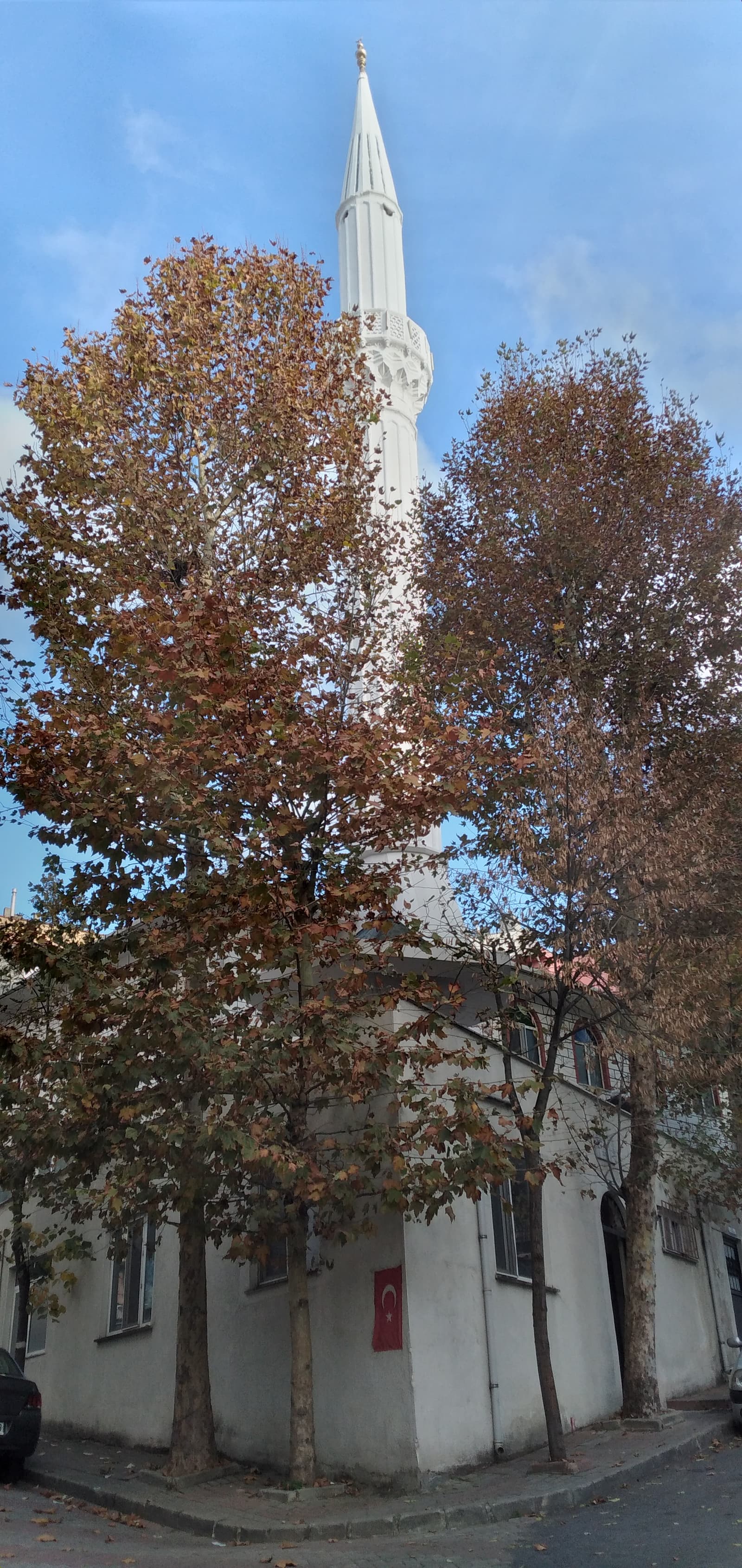 Şuca Ahmetpaşa Camii