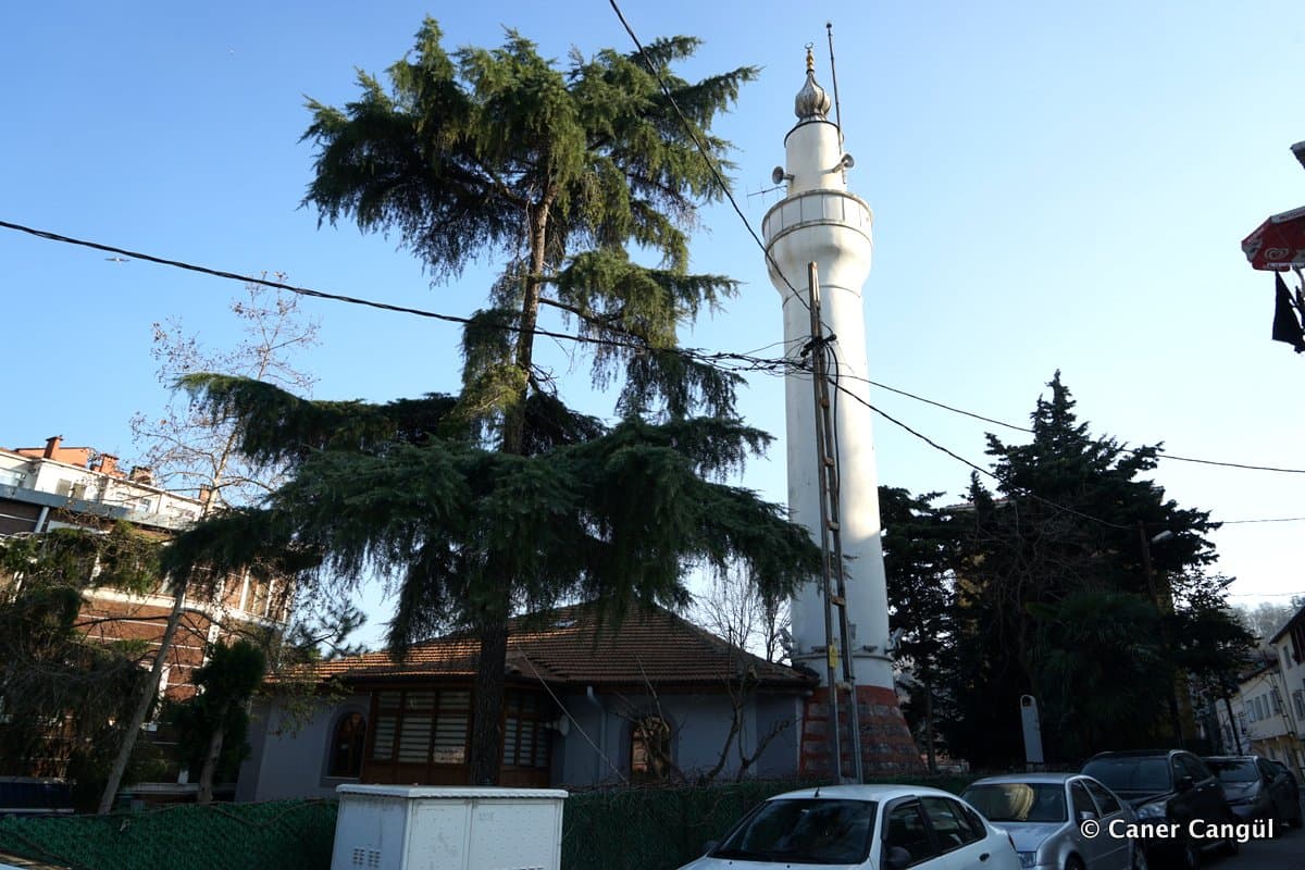 Neslişah Sultan Camii