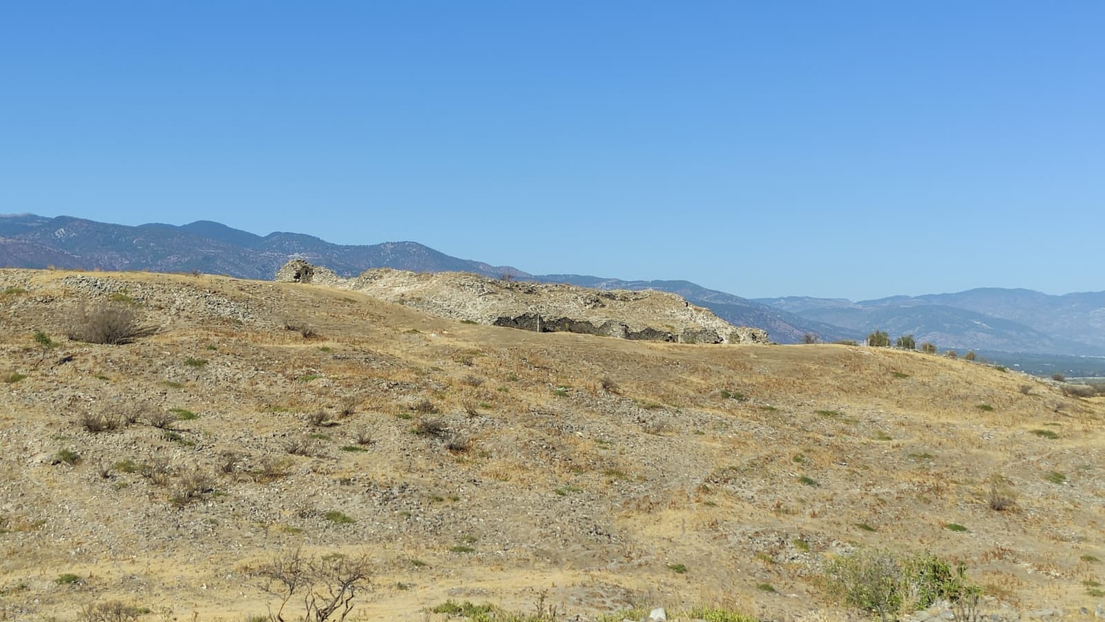 Antiokheia ad Maeandrum