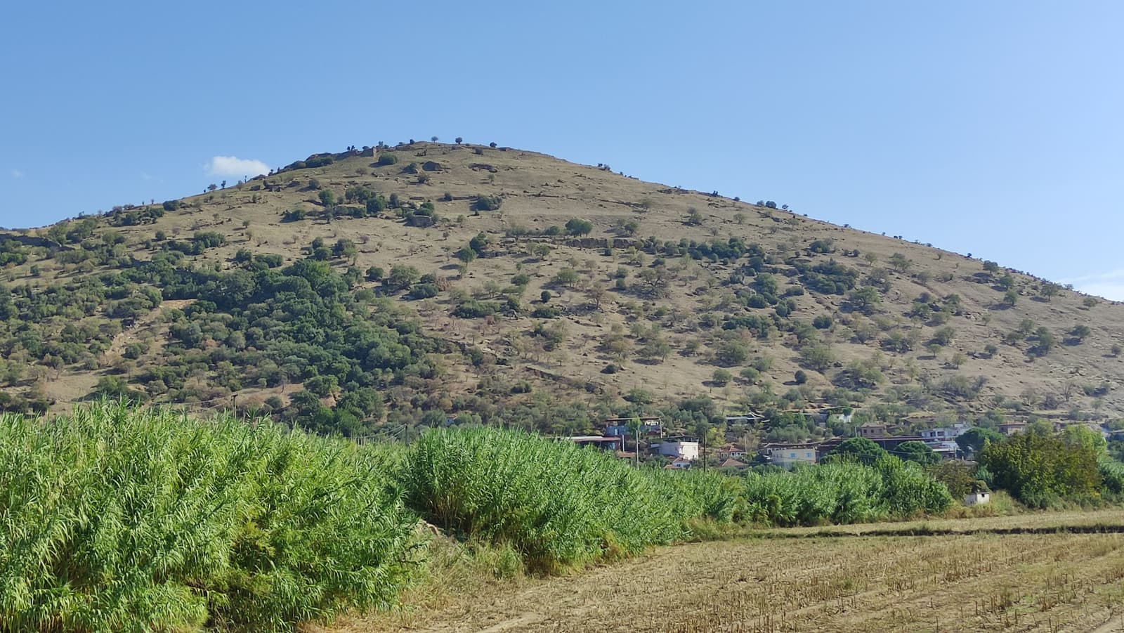Harpasa