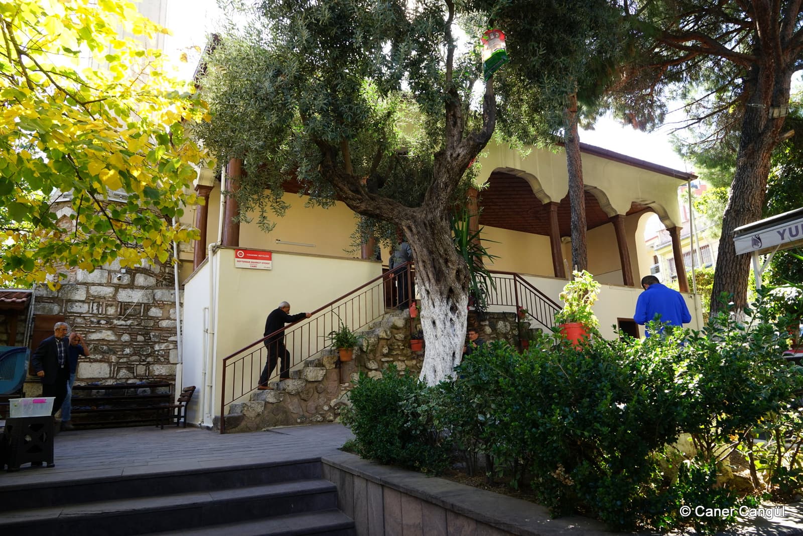 Arap Alanı Camii