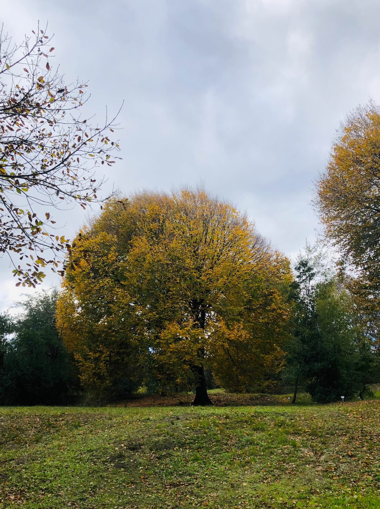 Atatürk Arboretumu