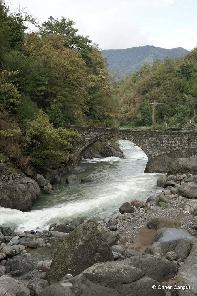 Düzköy Köprüsü, Borçka