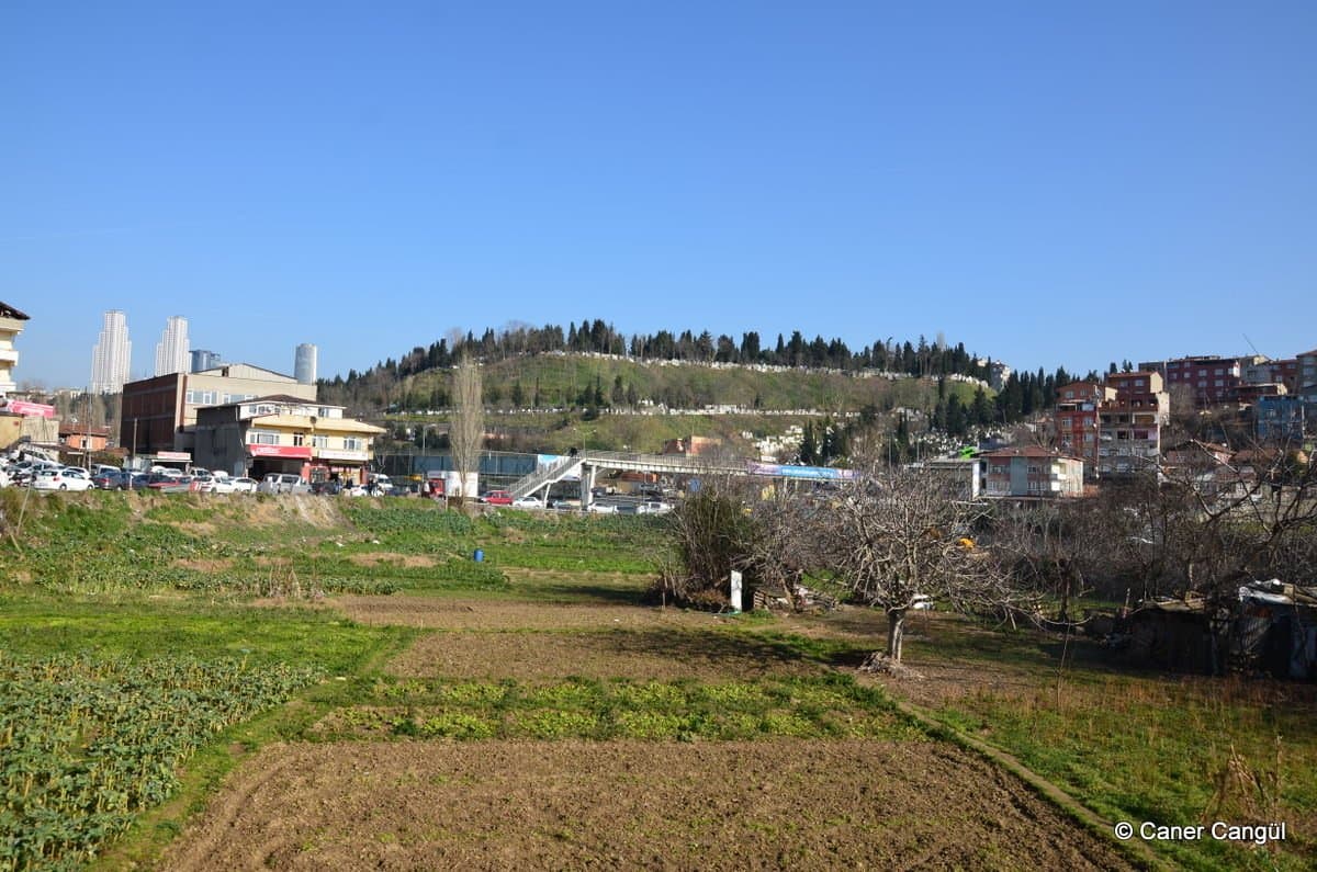 Piyalepaşa Bostanı