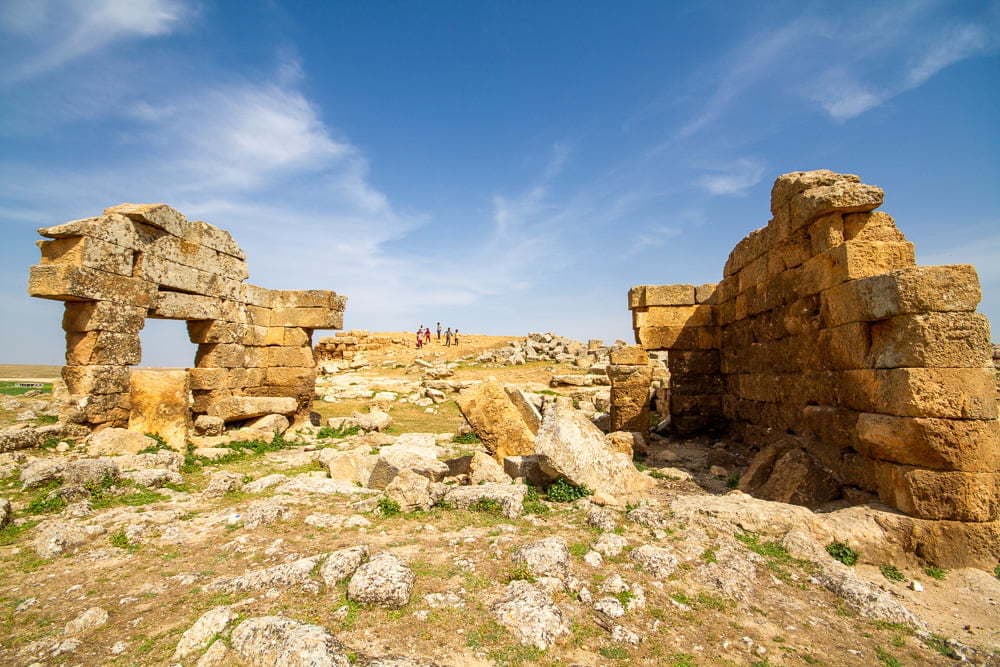 Şuayb