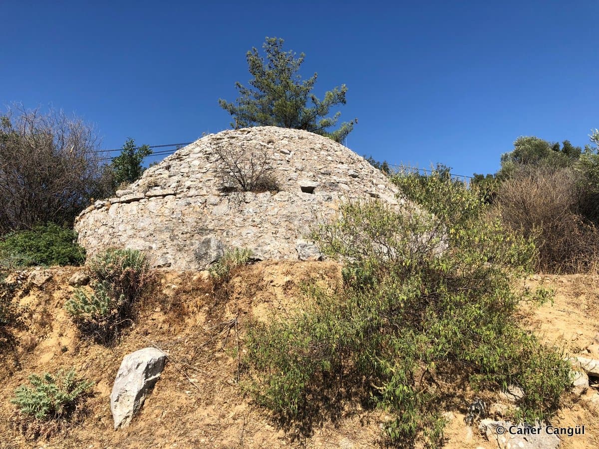 Sarnıç 5, Pınarköy