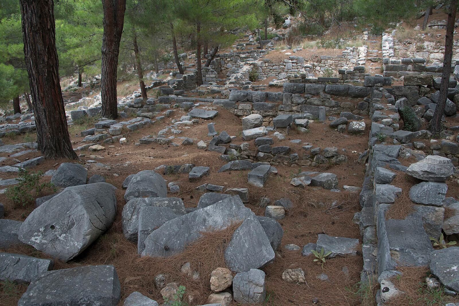 Priene Sinagogu
