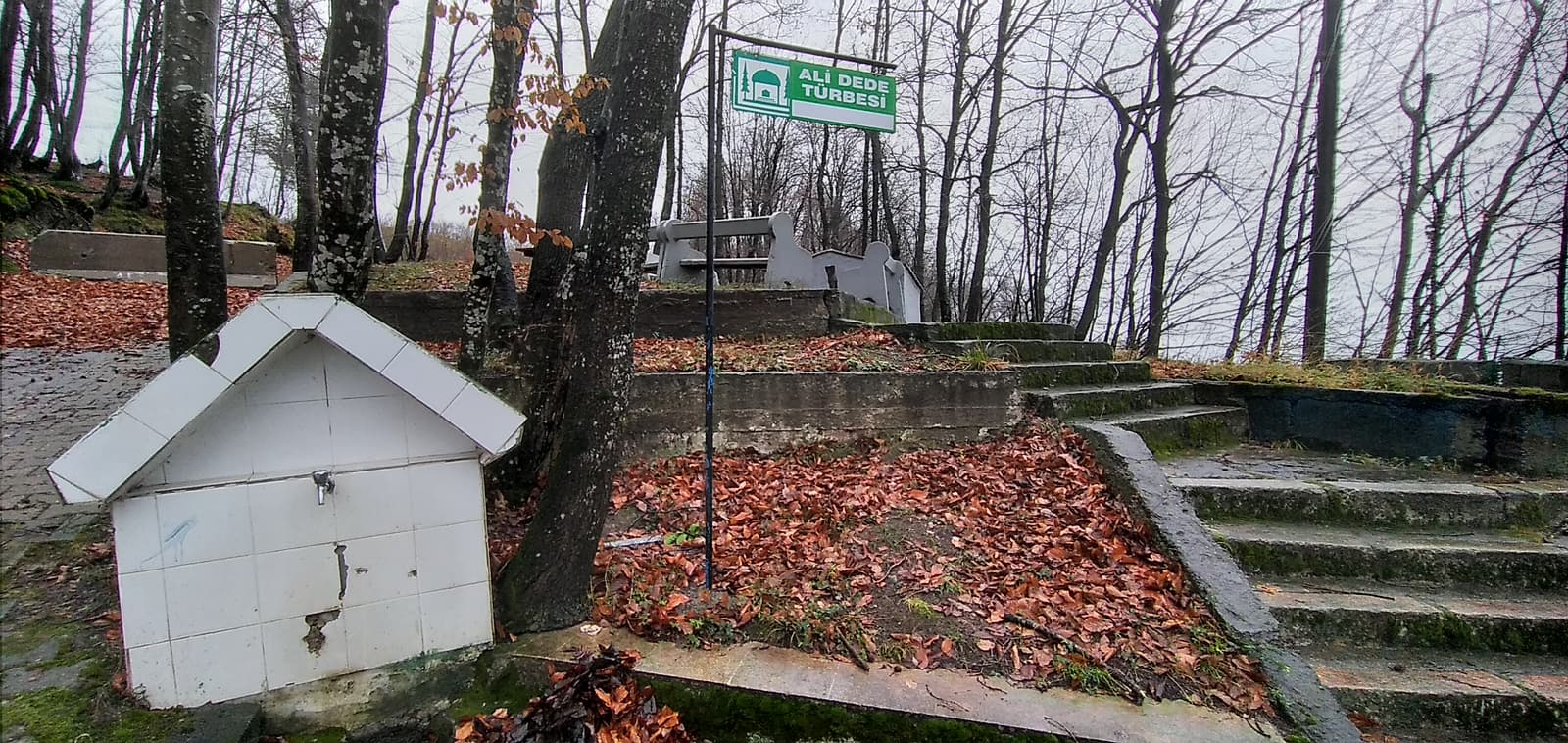 Ali Baba Türbesi, Kaynaşlı