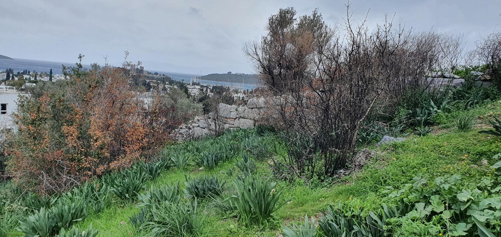 Halikarnassos Sur Duvarları