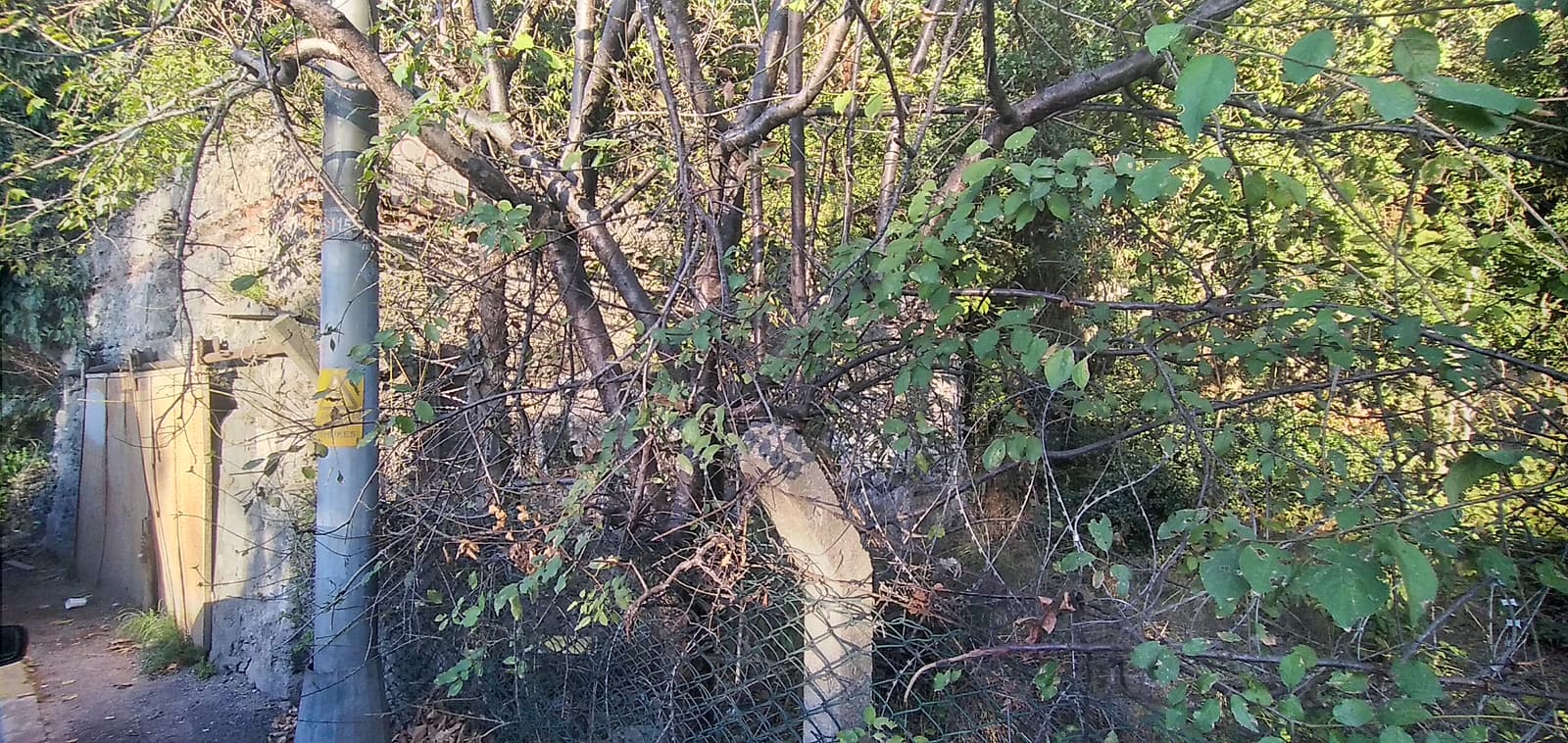 Sarnıç, Kandilli