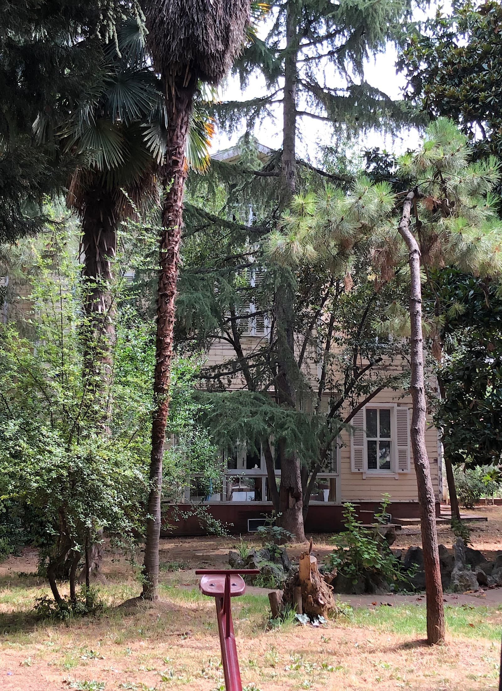 Köşk — Göztepe, Ihlamur, 16