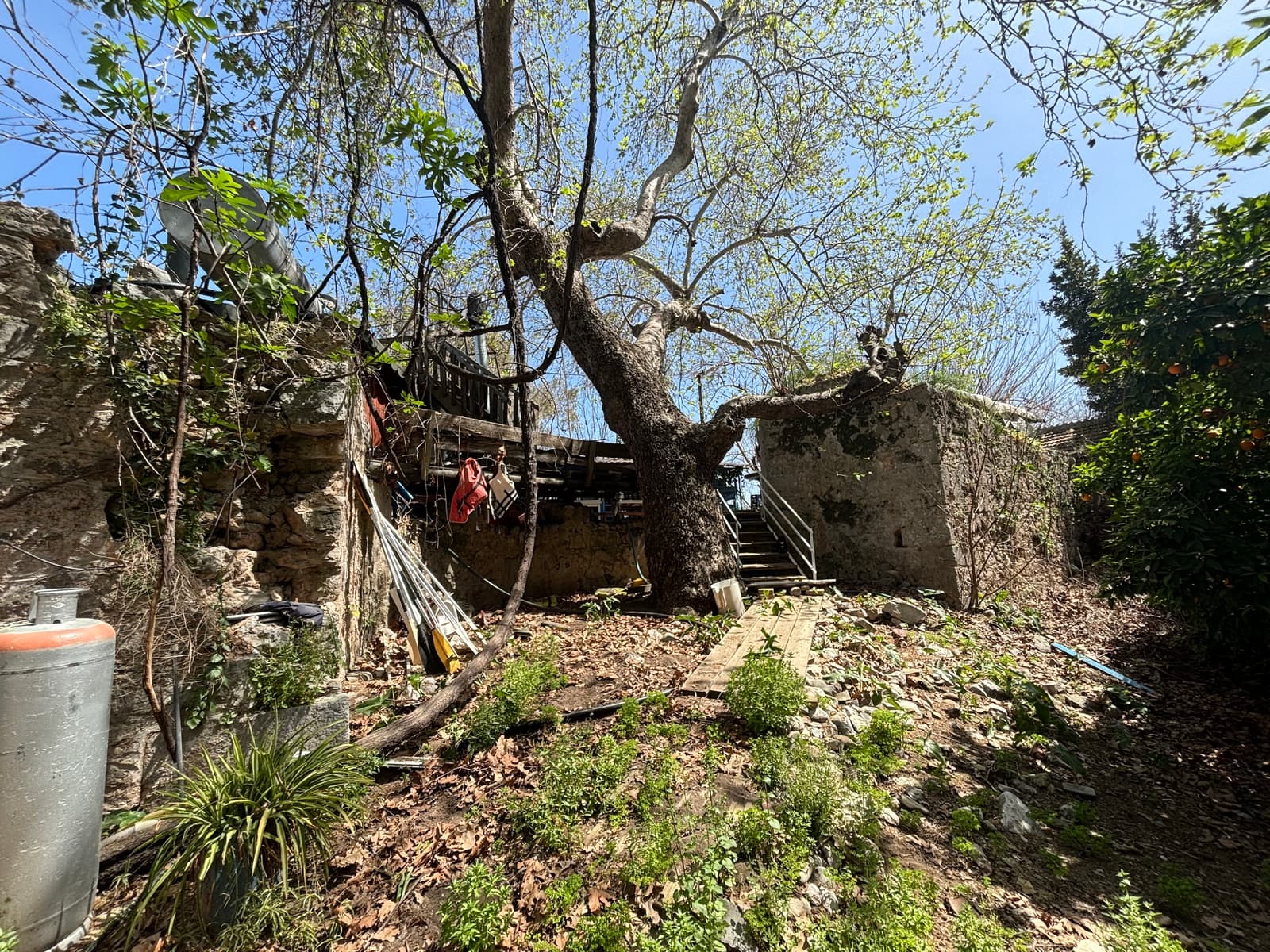 Olympos 4 No’lu Kilise