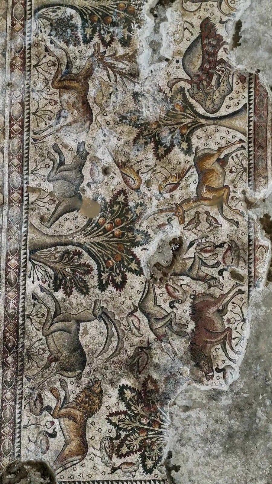 Salkaya Mozaiği